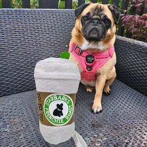 Frenchie Roast noise making Dog Toy NWT